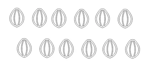 Design and drawing stage of the jewel